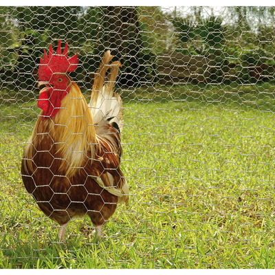 Malla hexagonal o gallinera o conejera