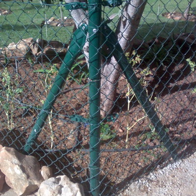 malla simple torsion verde