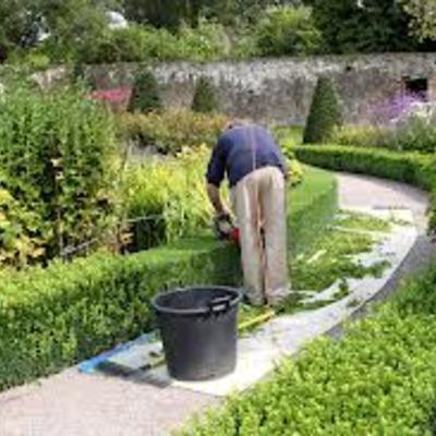 Mantenimieto Jardinería
