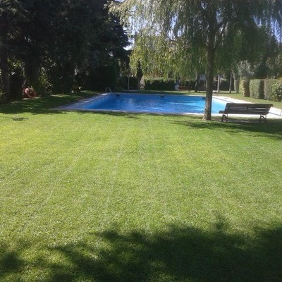 Mantenimiento césped