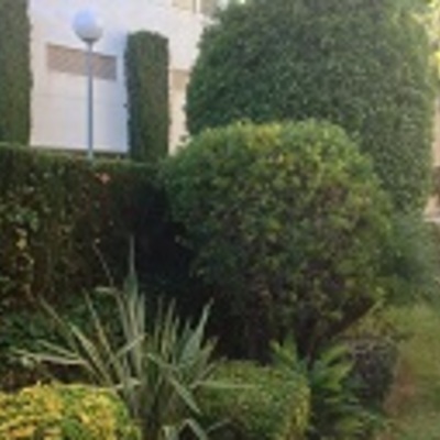 MANTENIMIENTO DE JARDÍN