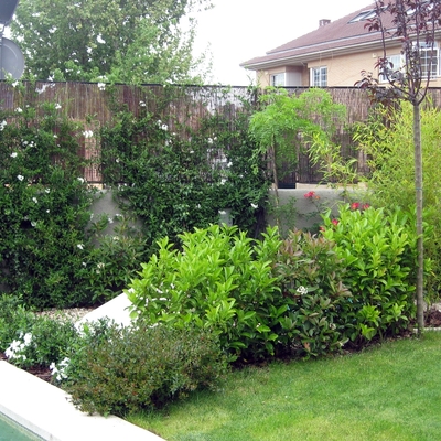 mantenimiento de jardines