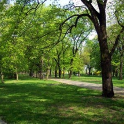 Mantenimiento de jardines 