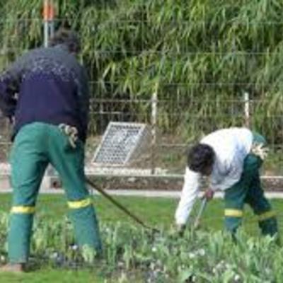 * * MANTENIMIENTO DE JARDINES * * 