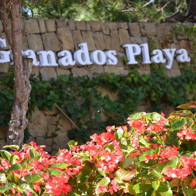 Mantenimiento de jardines