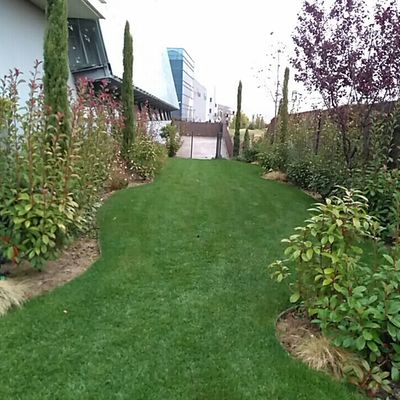 Diseño y ejecución de zona verde