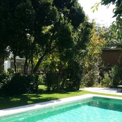 Mantenimiento en jardín particular 2