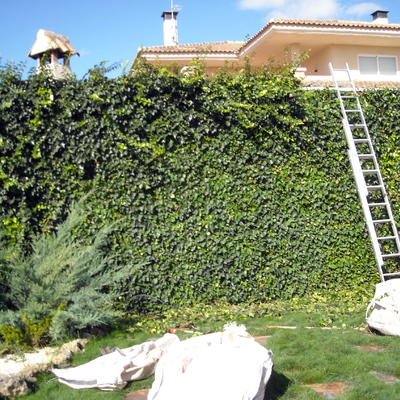 mantenimiento jardin