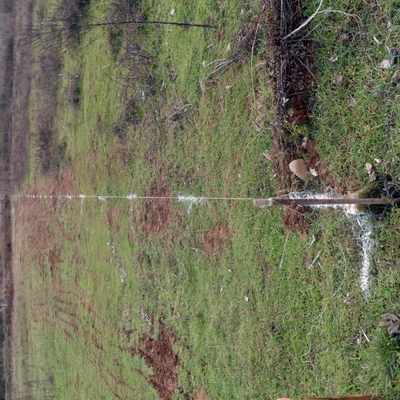 marcado de finca para cierre