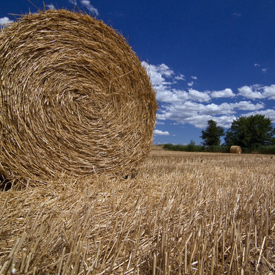 Materiales naturales: paja