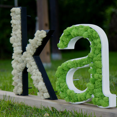 rotulo en planta preservada