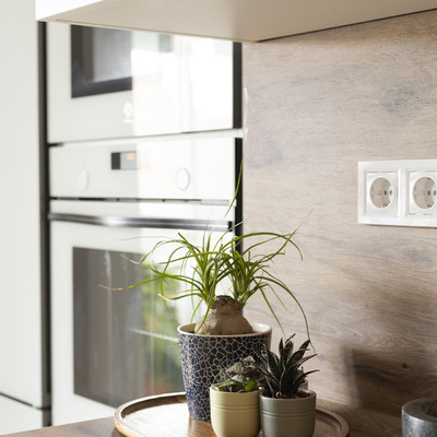 Proyecto interiorismo