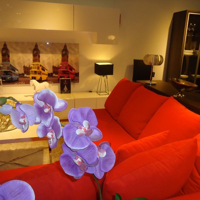 Mobiliario y Complementos