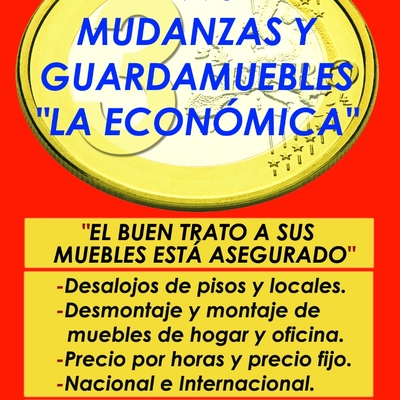 WWW.MUDANZASLAECONOMICA.COM