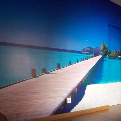 Mural de vinilo en salón.