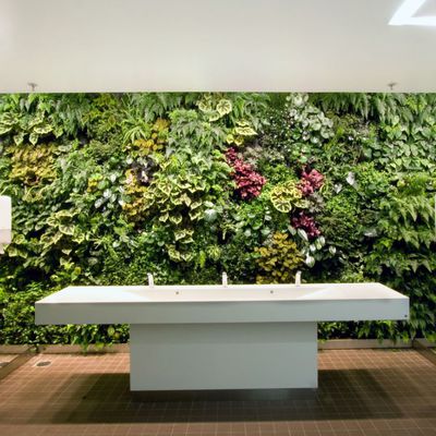 Mural Jardín Vertical