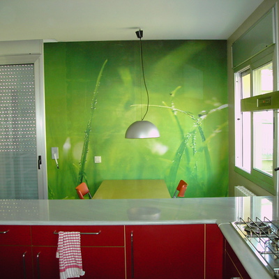 mural de papel "cesped con rocio"