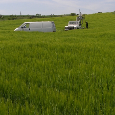 brotes verdes