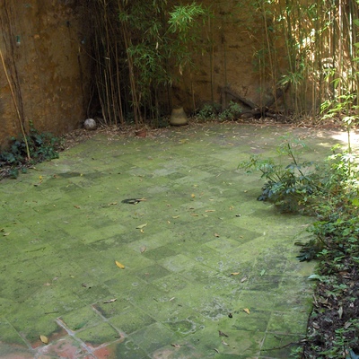 Limpieza de patio de luces (antes)