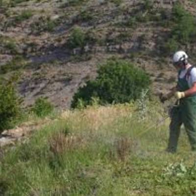 Limpiezas Forestales