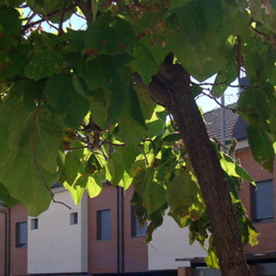 NRCR ARQUITECTOS S.L.P.