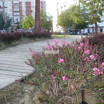 Aparcamiento de Isla Chica (Huelva)
