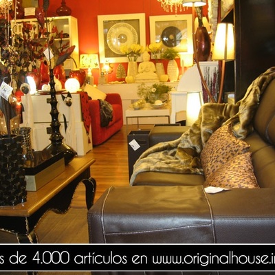Original House, la tienda.