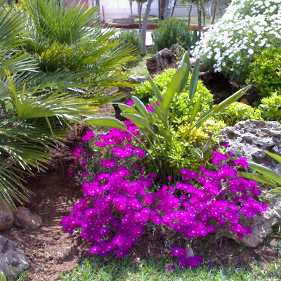 ornamentación en general