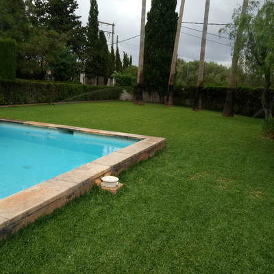 Mantenimiento jardines y piscina