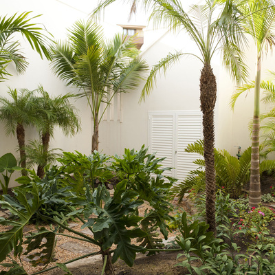 Paisajismo para patio interior