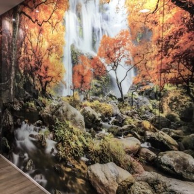 Fotografía sobre cristal