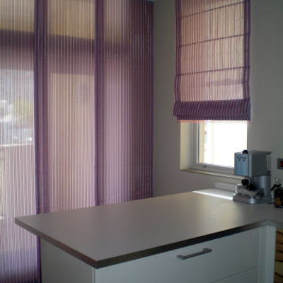 Panel japones y estor