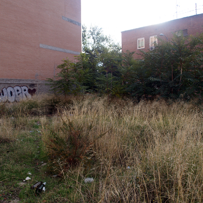 parcela para desbrozar