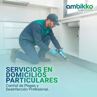 Servicios en Domicilios Particulares