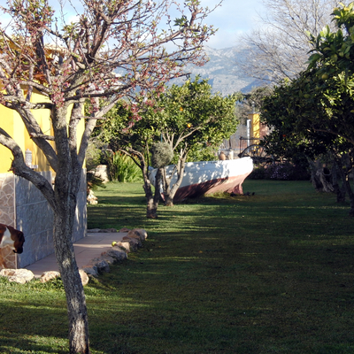 Pasillo del jardin 