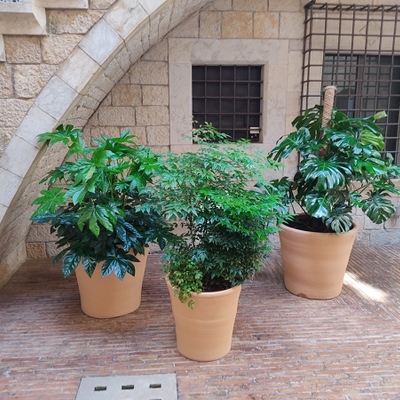 Patio interior Caixaforum Girona