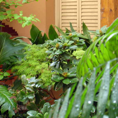 Patio en el centro de Madrid 