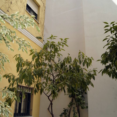 Patio trasero calle San Vicente