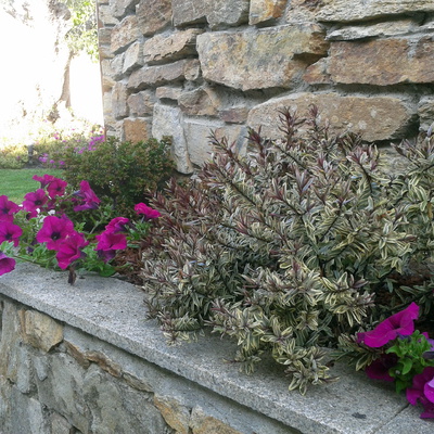 pequeños espacios de color