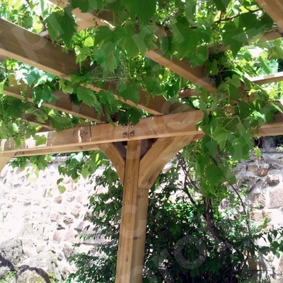 Pérgolas de madera
