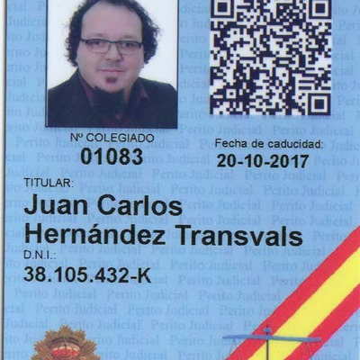Perito Judicial