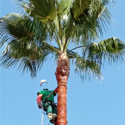 Puesta a punto jardín