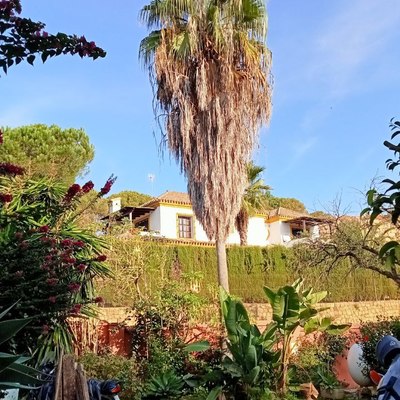 Puesta a punto jardín