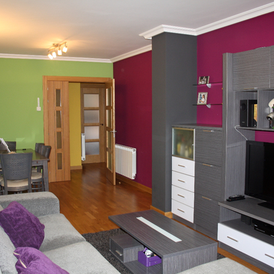 Pintura en salón ,plastico liso