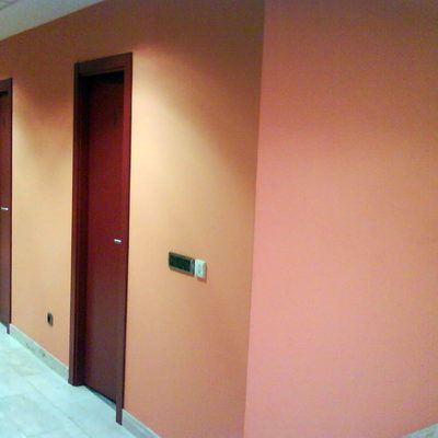 Pintura plástica lisa