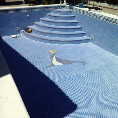 piscina azul niebla,con foca y ecaleras romanas