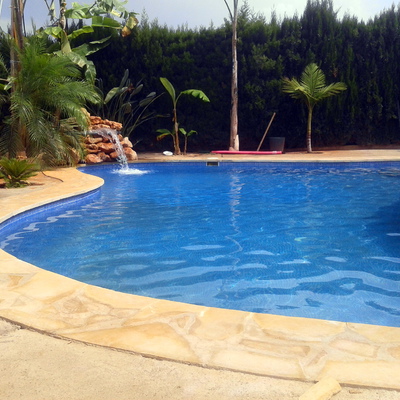 Piscina en forma de laguna 