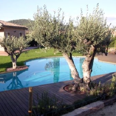 Piscina muy chula con sus oliveras al lado de la piscina.