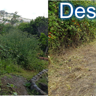 Descubriendo una valla