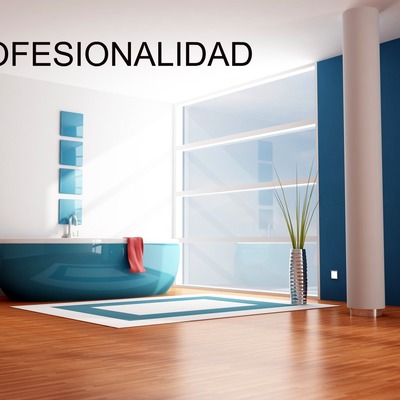 PLADUR PARQUET DECORACION